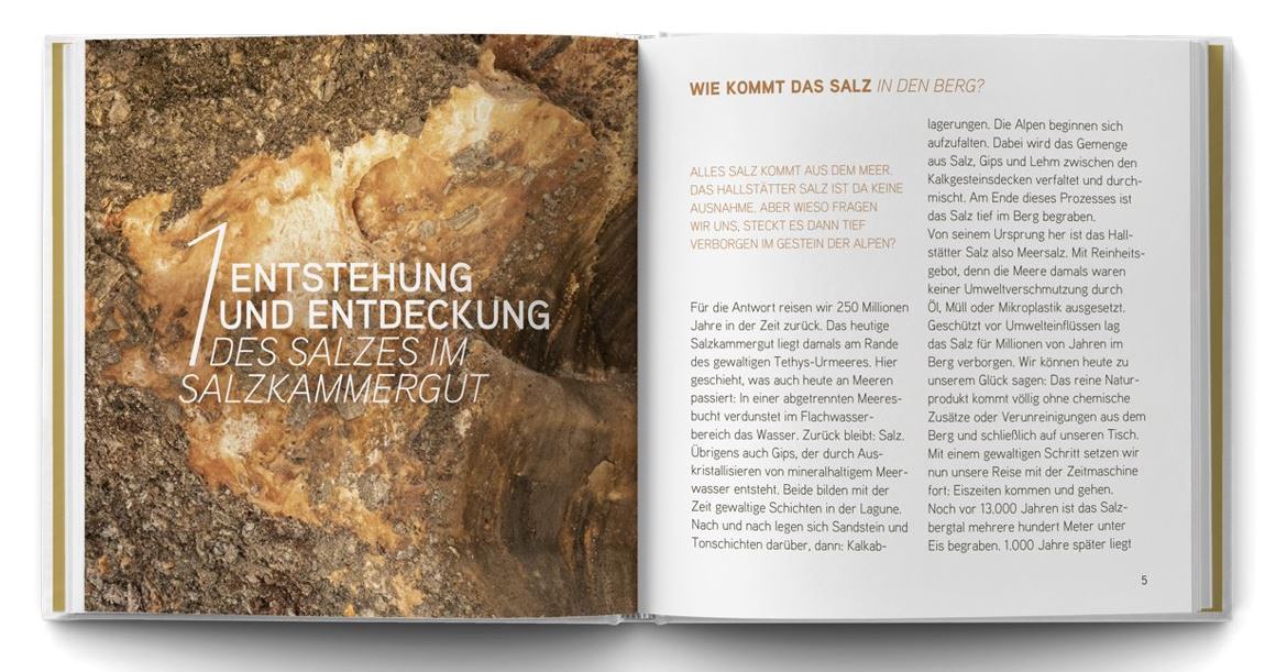 Salzkammergut - Das Buch zur Münzserie