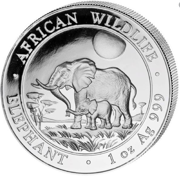 Somalia - Elefant 2011 - Edelmetalle Koitz GnbR