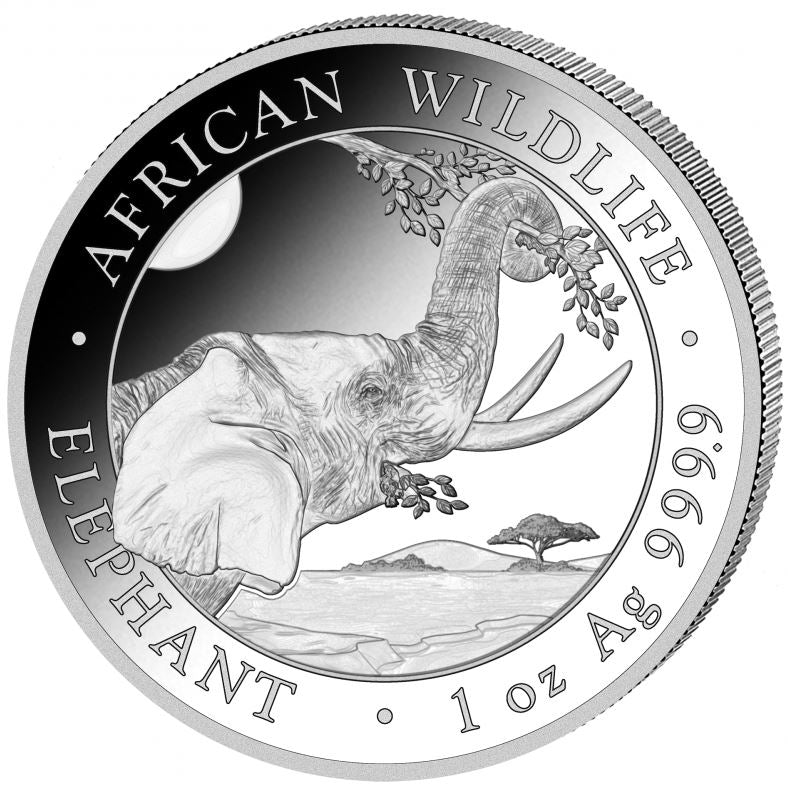 Silbermünze Somalia 2023 – 1 oz African Wildlife Elefant mit Savannenmotiv
