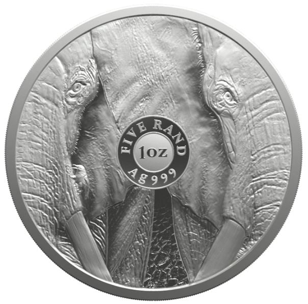Südafrika - Big Five III Elefant 2024 - Edelmetalle Koitz GnbR
