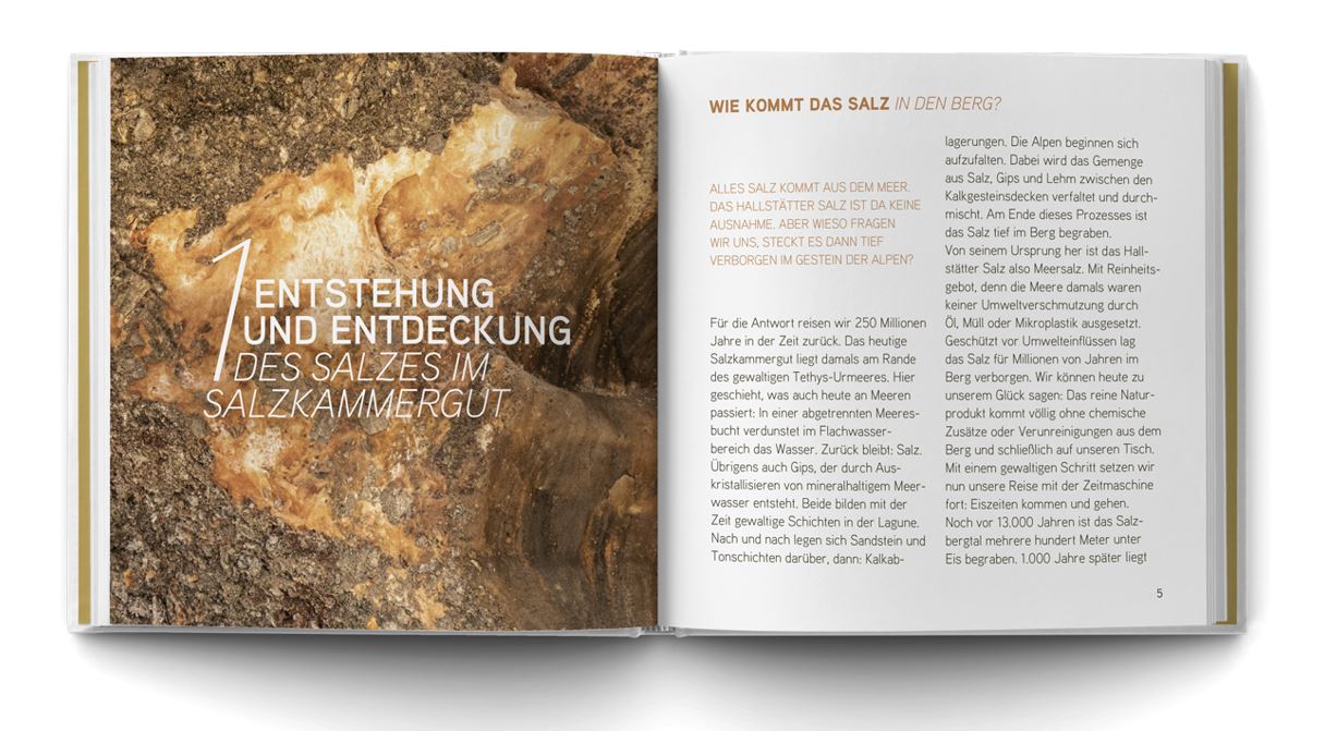 Salzkammergut - Das Buch zur Münzserie - Edelmetalle Koitz GnbR