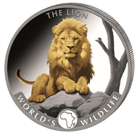 Kongo - Wildlife #07 Löwe 2025 Gilded