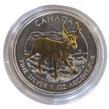 Kanada - Wildlife Antilope gilded 2013