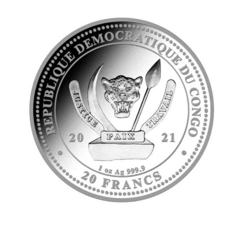 Kongo - Weißkopfseeadler 2021