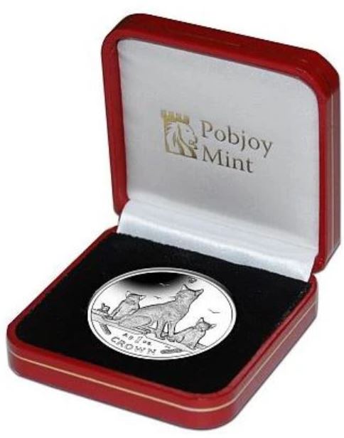 Isle of Man - Havana Brown Katze 2016