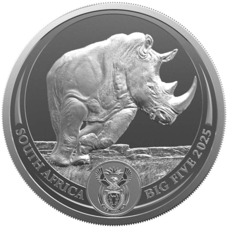 Südafrika - Big Five III Rhino 2025