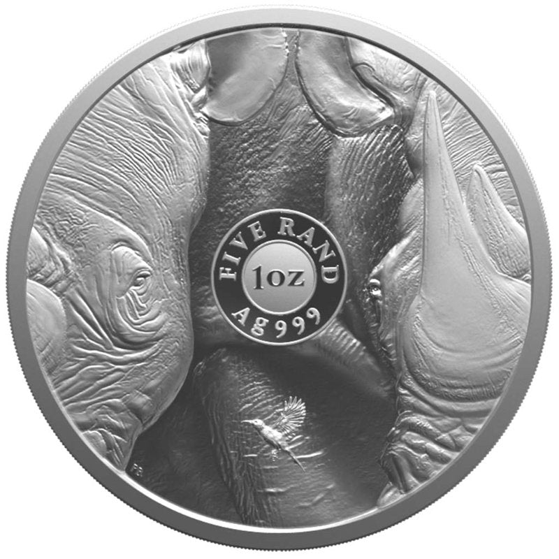 Südafrika - Big Five III Rhino 2025