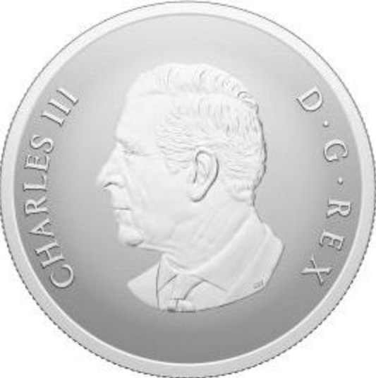 Kanada - 20 $ 2025 Remembrance Day