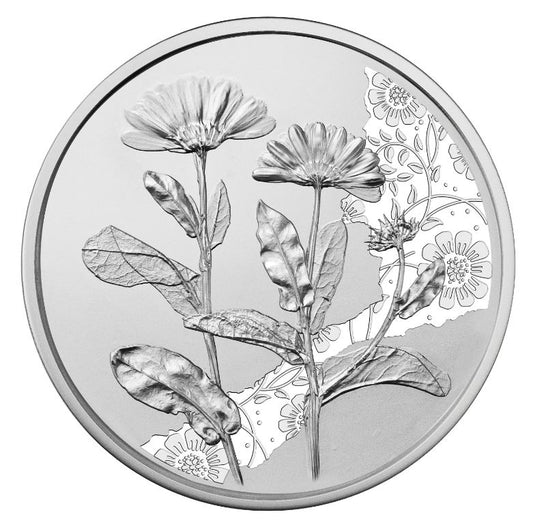 10 Euro Silber 2022 Ringelblume hgh Folder - Edelmetalle Koitz GnbR