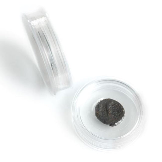 Münzen Kapseln 35 mm Magic L - Edelmetalle Koitz GnbR