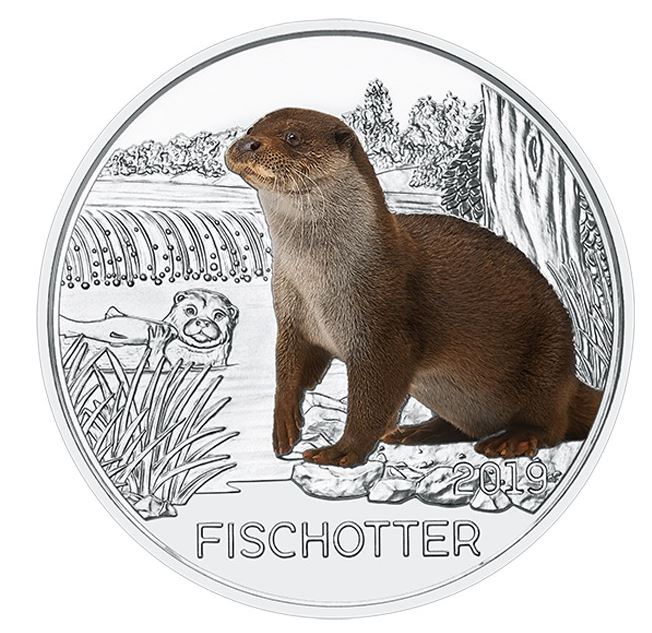 Tiertaler Fischotter 2019 - Edelmetalle Koitz GnbR