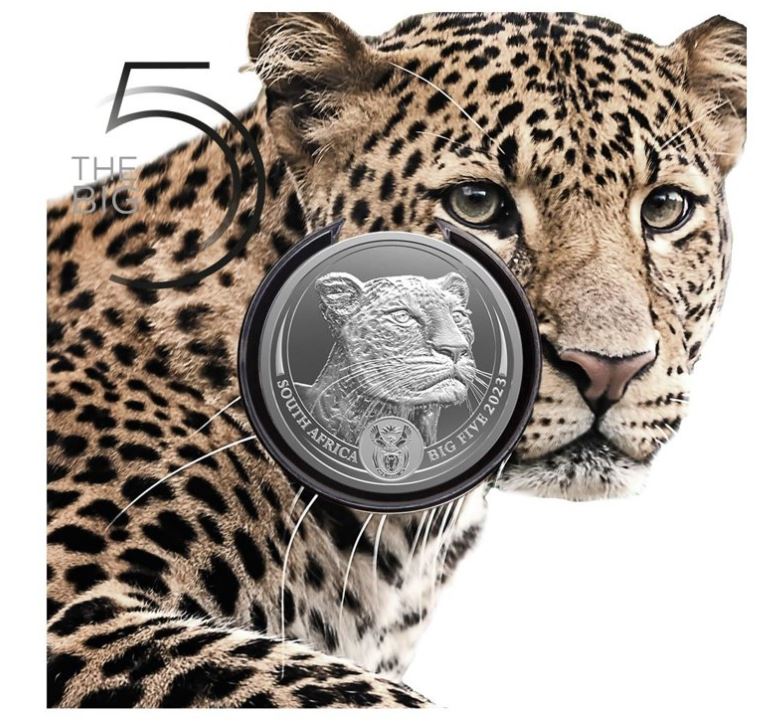 Südafrika - Big Five II Leopard 2023 - Edelmetalle Koitz GnbR