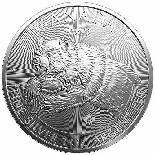 Kanada - Wildlife Grizzly  2019