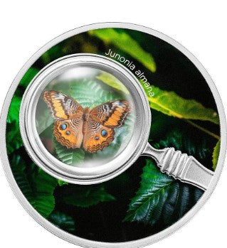 Kamerun 500 Francs 2024 Junonia Almana Silber Proof