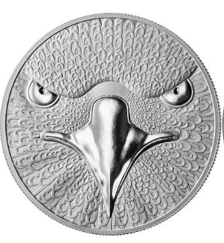 Binary Eagle 2026 – 1 oz Silbermünze mit binärem Adlermotiv und holografischem Wappen.