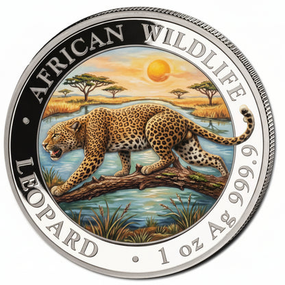 Somalia African Wildlife Leopard 2026 1 oz Silber coloriert