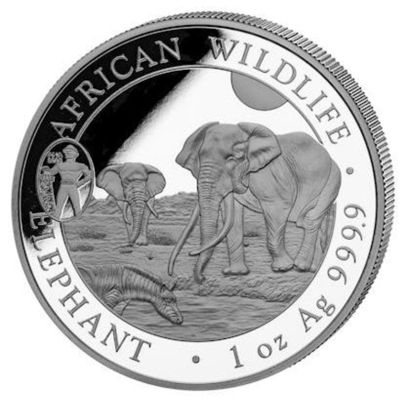 Somalia - Wildlife Elefant Privy ANA 2025