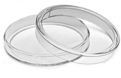 Münzen Kapseln 55 mm