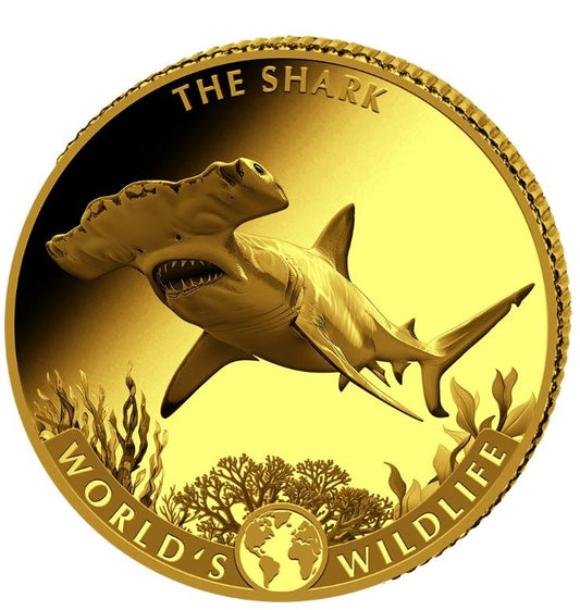 Congo Shark 2026 Goldmünze 0,5 g Proof