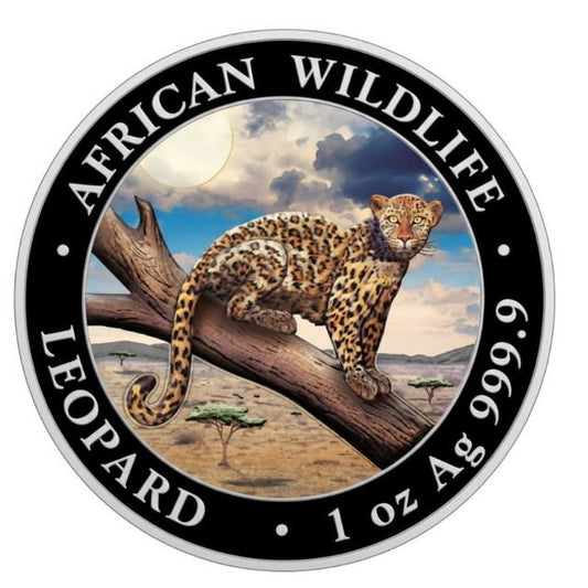 Somalia - Leopard 2021 Color