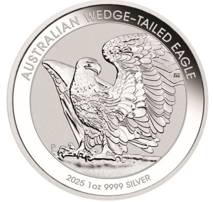 Australien - Wedge Tailed Eagle 2025