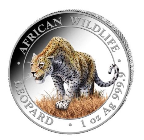 Somalia - Leopard 2023 Color