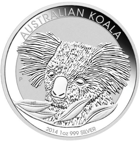 Australien - Koala 2014