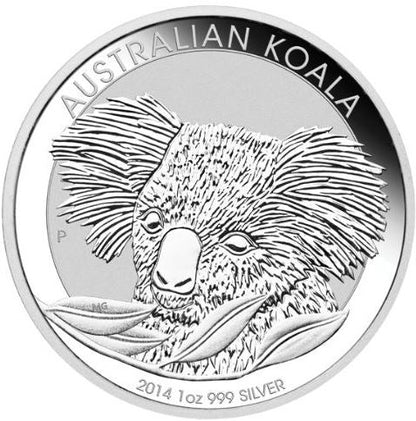 Australien - Koala 2014