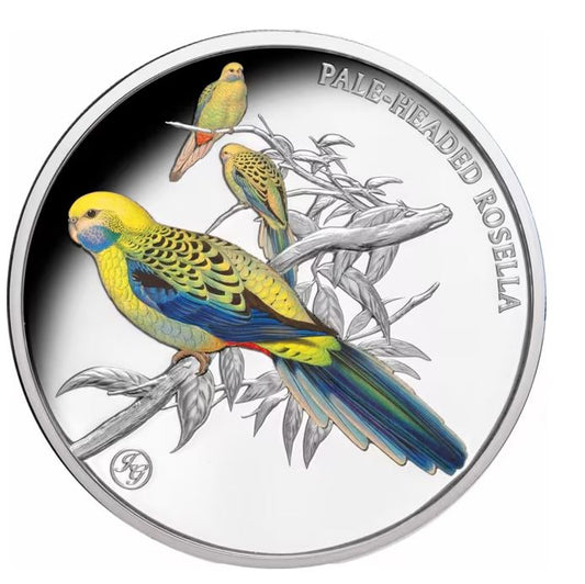 Niue Blasskopfsittich 2026 Silbermünze Proof Privy Mark