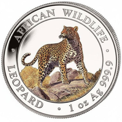 Somalia - Leopard 2022 Color