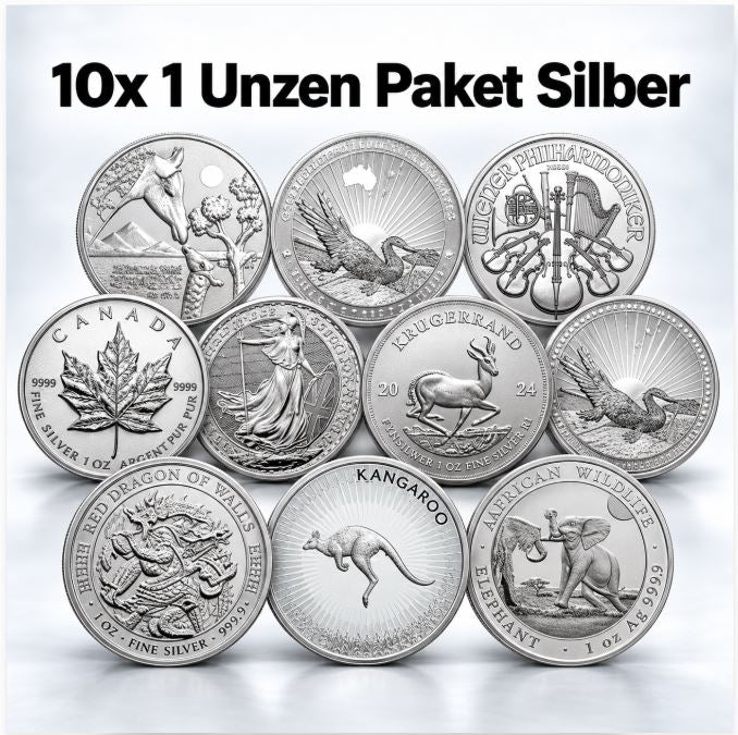 10er-Paket 10 × 1 oz Silbermünzen 999 Feinsilber gekapselt