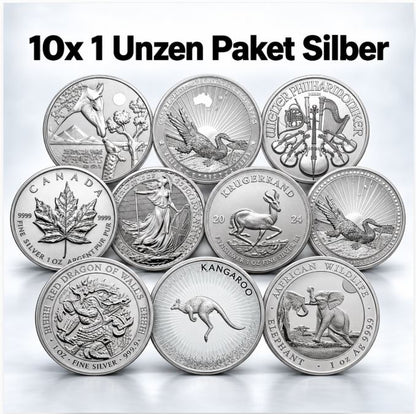 10er-Paket 10 × 1 oz Silbermünzen 999 Feinsilber gekapselt