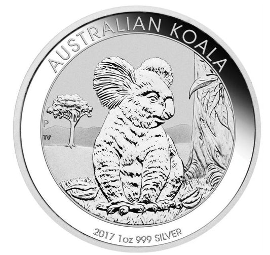 Australien - Koala 2017