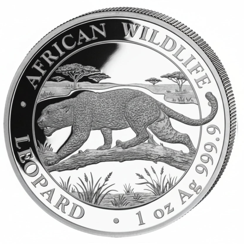 Somalia African Wildlife Leopard 2026 1 oz Silber