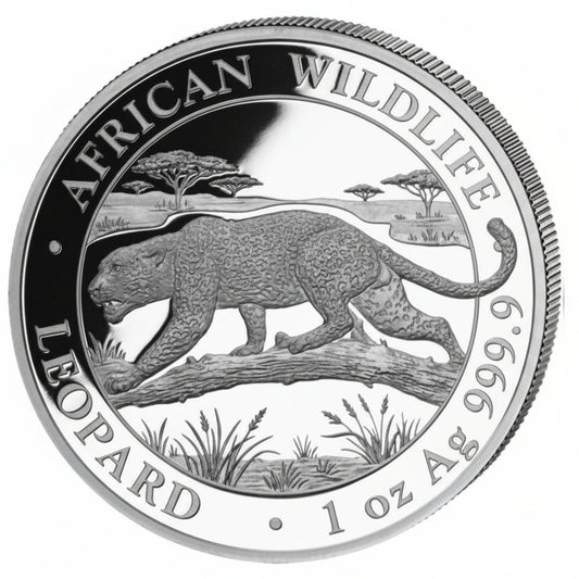 Somalia African Wildlife Leopard 2026 1 oz Silber