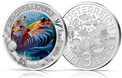 3€ Ozeantaler - #3 Leuchtgarnele 2023