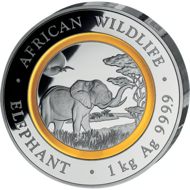 Somalia  - 1kg Silber Elefant 2019 PP Polymer-Ring