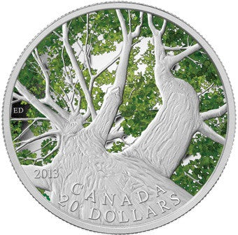 Kanada Ahornbaum im Frühling 2013 20 Dollars Silber PP farbig