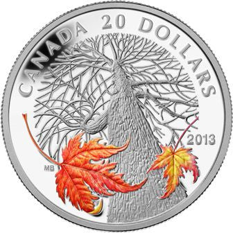 Kanada Ahornbaum im Herbst 2013 20 Dollars Silber PP farbig