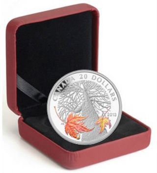 Kanada Ahornbaum im Herbst 2013 20 Dollars Silber PP farbig