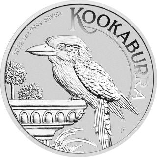 Australien - Kookaburra 2022