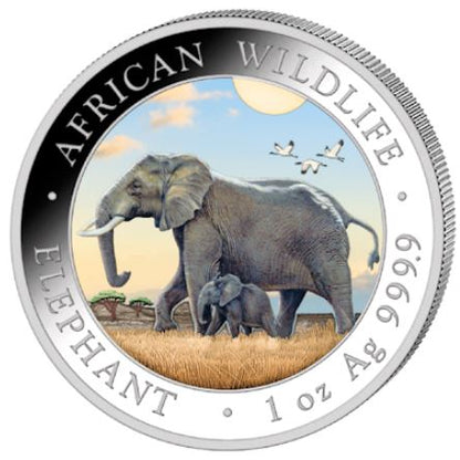 Somalia - Elefant 2022 Color