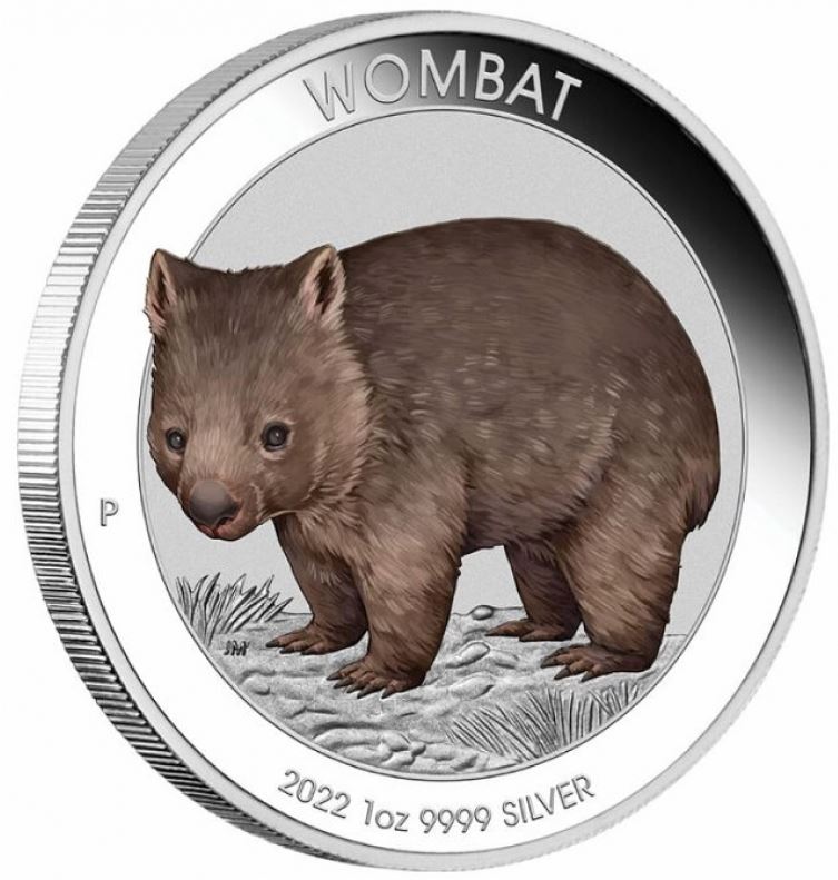 Australien - Wombat 2022 Color