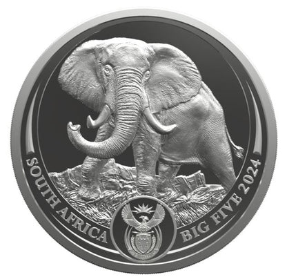 Südafrika - Big Five III Elefant 2024