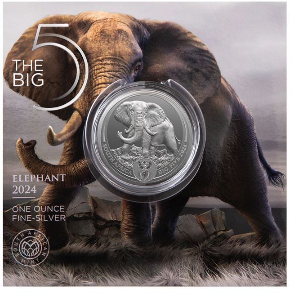 Südafrika - Big Five III Elefant 2024