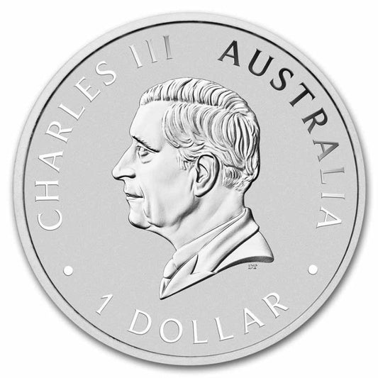 Australien - Brumby 2025 Color
