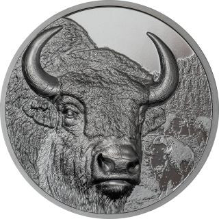 Mongolei - 2oz Bison Black Proof 2025