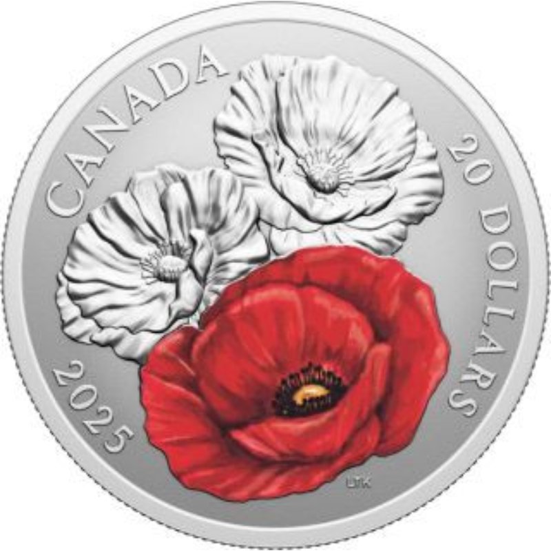 Kanada - 20 $ 2025 Remembrance Day