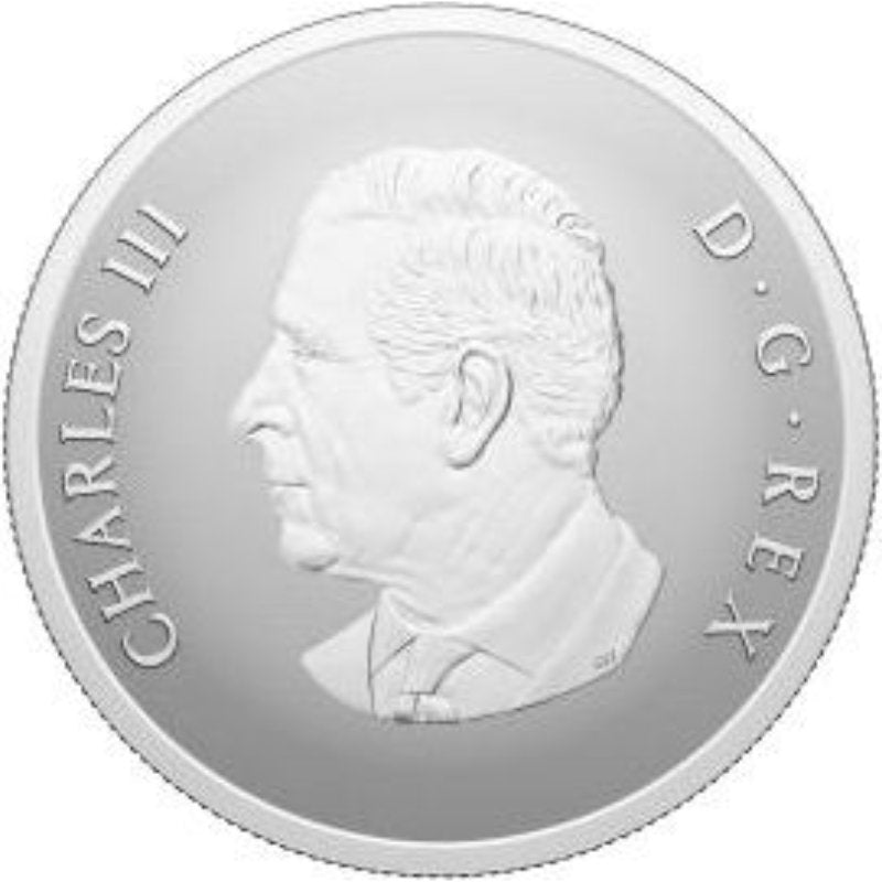 Kanada - 20 $ 2025 Remembrance Day