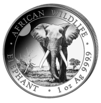 Somalia - Elefant 2025